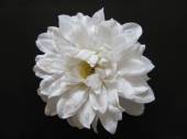 více - Velký látkový květ jiřina bílá    14cm