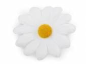 více - Dekorační květ kopretina bílá,  průměr 6cm