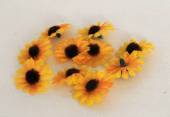 více - Malý květ slunečnice  3cm  7ks /poslední kusy/