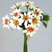 více - Poinsettia kytice 11 květů, dl. 18cm  - bílá