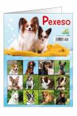 více - Papírové pexeso - Psi