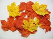 více - Podzimní dekorační listy  7 x 7cm a 9 x 10cm    12ks