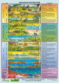 více - Oboustranná tabulka A4    geologická historie Země