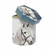 více - Kartonový box s bílým koněm   v.10cm