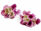 více - Hortenzie květ fialová