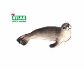více - Tuleň  10cm - sběratelský model